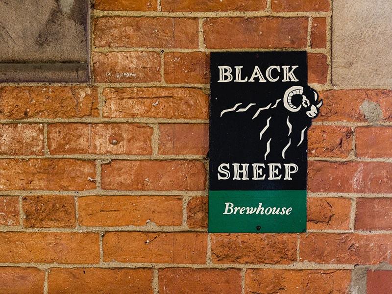 Black Sheep Brewery Tour