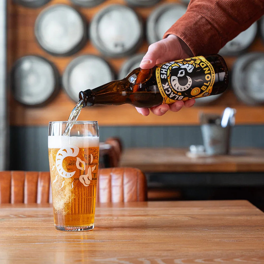 Black Sheep Blonde 500ml Bottle 8 Tray