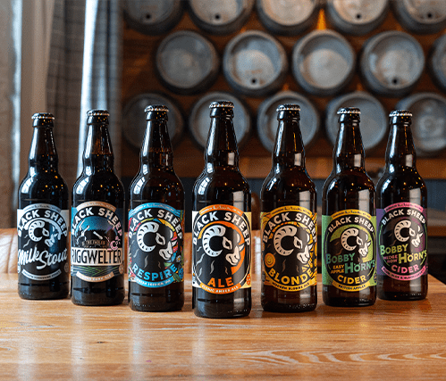 Row of Black Sheep Beer bottles