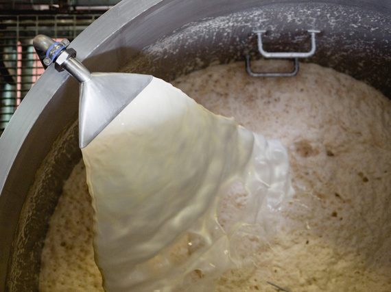 4. Fermentation