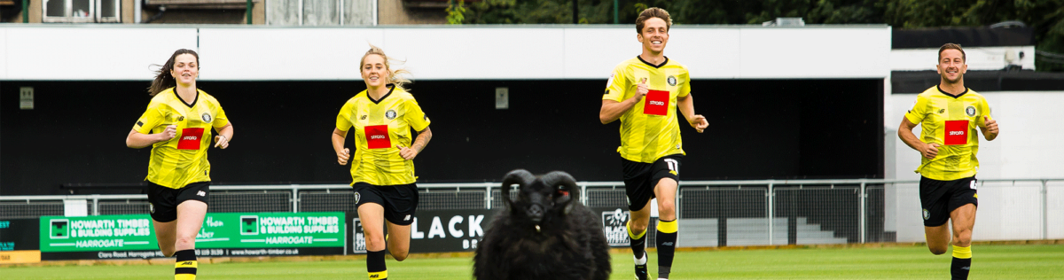 Harrogate-Town-AFC Partner