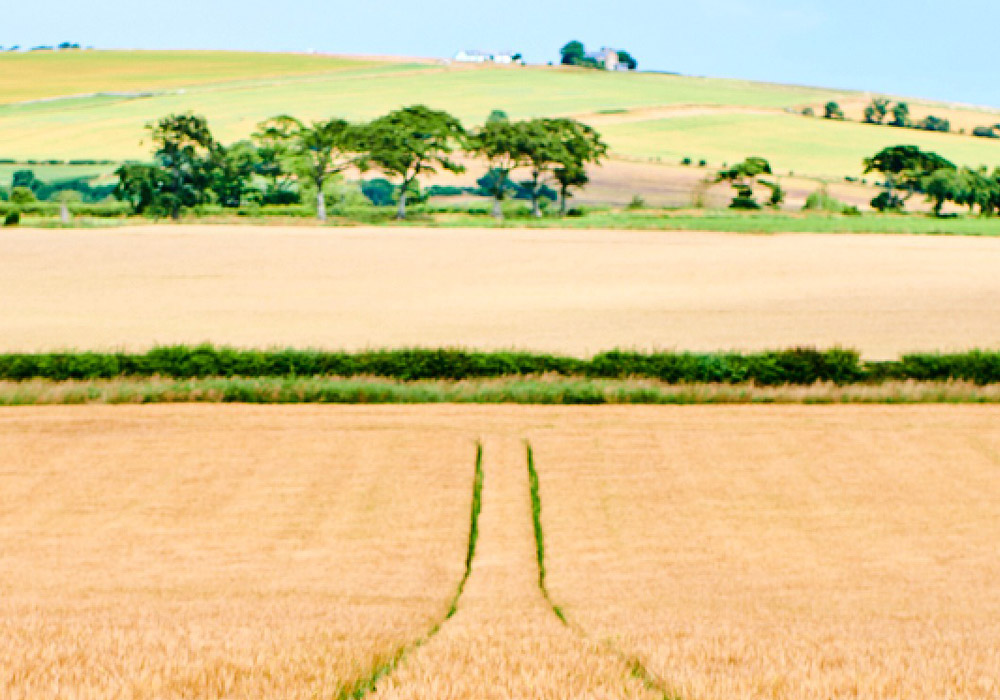 Making Beer Sustainable